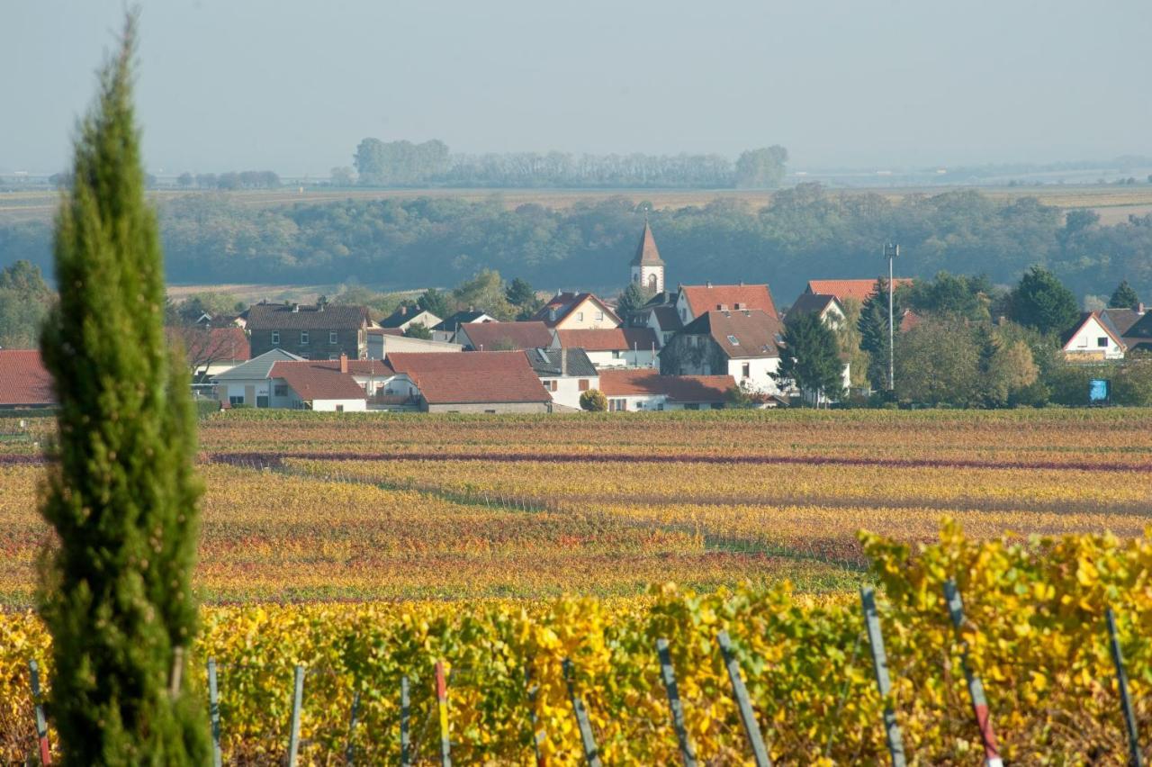 Gaestehaus & Weingut Peth Florsheim-Dalsheim Экстерьер фото